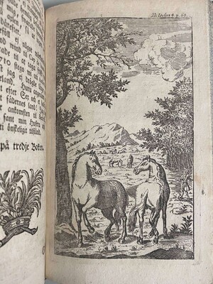open book with illustration