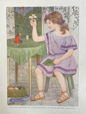 children's illustration