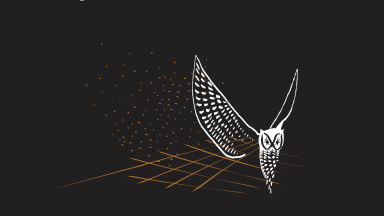 Image of owl flying