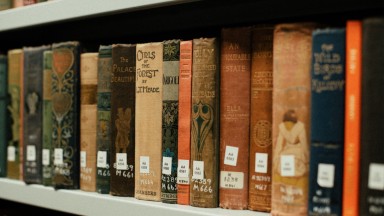 A row of books on a shelf in the NLI