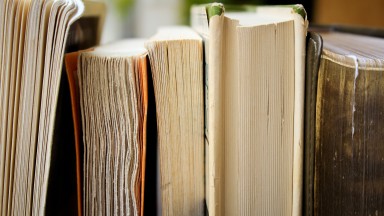 Photograph of 5 books.