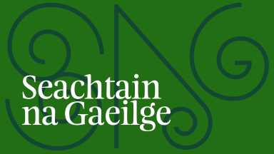 Graphic text reading Seachtain na Gaeilge on green background