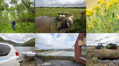 A selection of photographs by Paula T. Nolan
