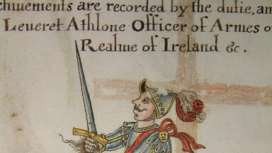 heraldic imagery with knight