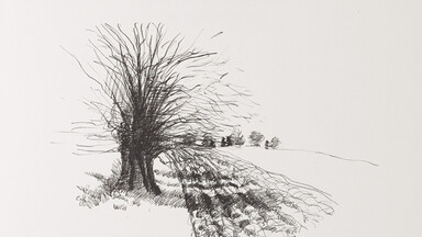 Minimalist illustration titled “The Last Walk” showing a lone tree with bare branches beside a plowed field extending into the distance. The monochrome ink drawing is centered on a plain white background, conveying a quiet, contemplative atmosphere.