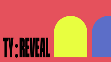 ty reveal