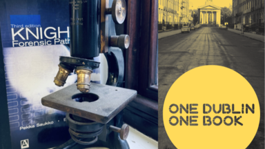 Dissecting Christine Falls