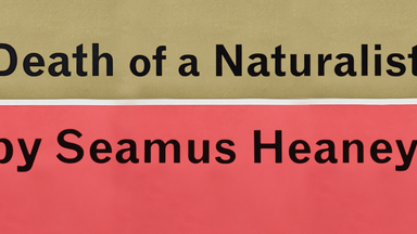 The text Death of Naturalist by Seamus Heaney on top of red and sand coloured background