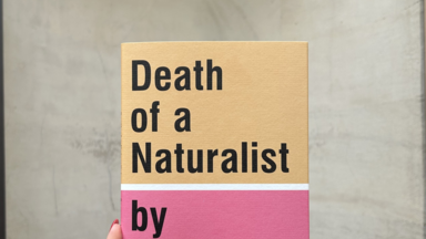 A hand with red-painted nails holds a book titled “Death of a Naturalist by Seamus Heaney.” The cover is split into two colors—beige on top and pink on the bottom—with bold black text. The background is a plain, light gray wall with a curved wooden surface at the bottom.