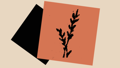 Abstract image of overlapping tilted squares with a black silhouette of bog cotton against a muted orange background.