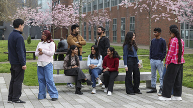 Group of students on DCU campus