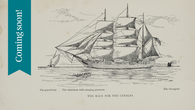 coming soon banner - view of catalpa ship escaping