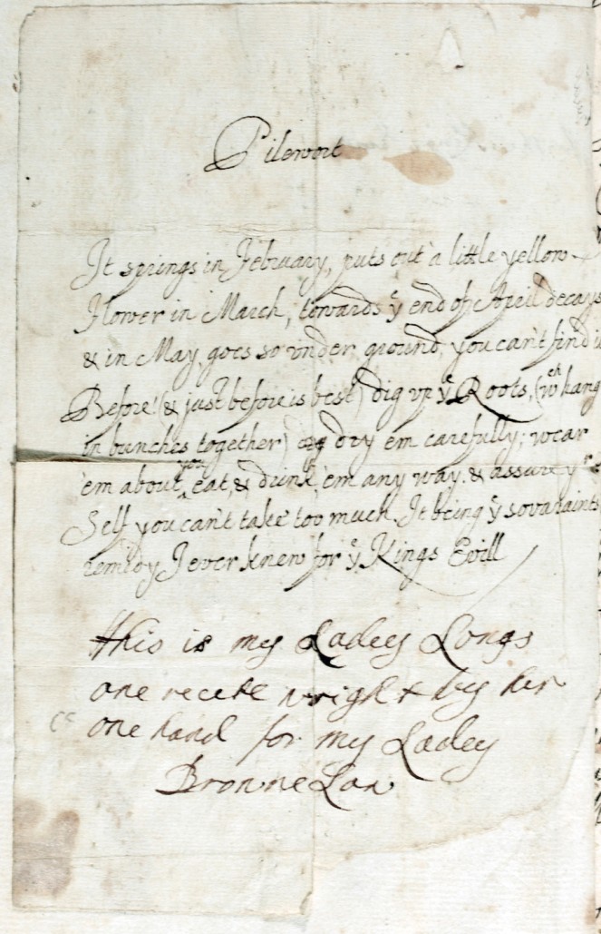 Instructions for use of Pilewort flower, the best "remedy I ever knew for ye Kings Evill", Lady Frances Keightley, Inchiquin Papers, Ms 14786