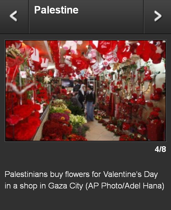 2011 Valentine's Day Slideshow from TheJournal.ie (from our General Election 2011 Web Archiving Project)