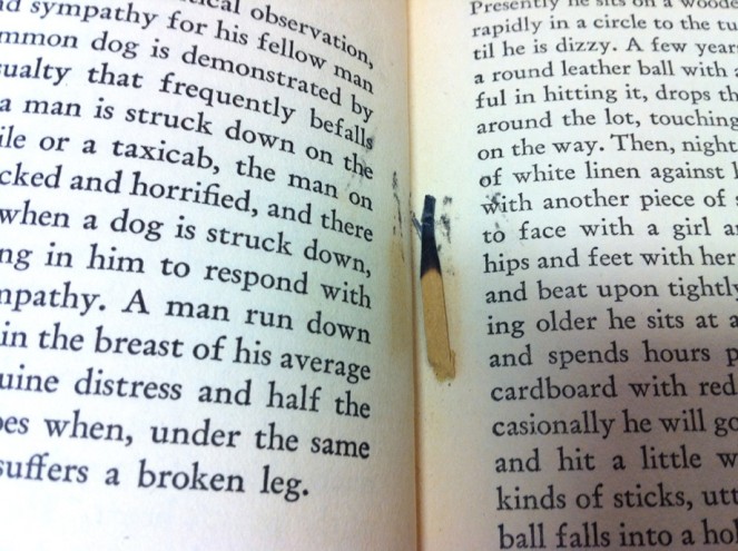 Just one of 240 unexpected items unearthed while Giada catalogued the Sean O'Casey library collection Just one of 240 unexpected items unearthed while Giada catalogued the Sean O'Casey library collection