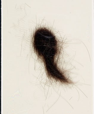 A lock of Mrs McSweeney's hair (MS)