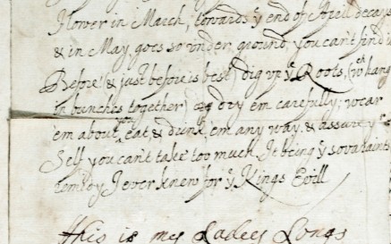 Instructions for use of Pilewort flower, the best "remedy I ever knew for ye Kings Evill", Lady Frances Keightley, Inchiquin Papers, Ms 14786 Instructions for use of Pilewort flower, the best "remedy I ever knew for ye Kings Evill", Lady Frances Keightley, Inchiquin Papers, Ms 14786