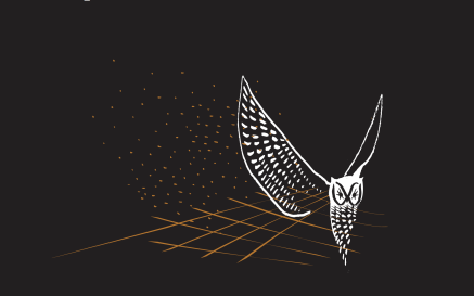 Image of owl flying