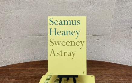 image of seamus heaney's play 'sweeney astray' against a blank wall
