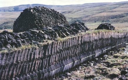 A photo of a bog showing the cuts made into the ground to collect peat.