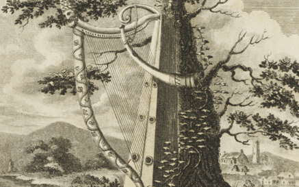 Ornate Harp in natural environment surrounded by other traditional Irish instruments. 