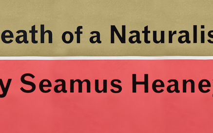 The text Death of Naturalist by Seamus Heaney on top of red and sand coloured background