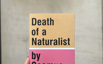 A hand with red-painted nails holds a book titled “Death of a Naturalist by Seamus Heaney.” The cover is split into two colors—beige on top and pink on the bottom—with bold black text. The background is a plain, light gray wall with a curved wooden surface at the bottom.