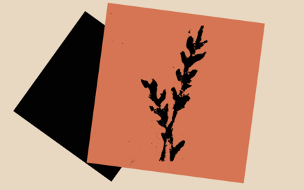 Abstract image of overlapping tilted squares with a black silhouette of bog cotton against a muted orange background.