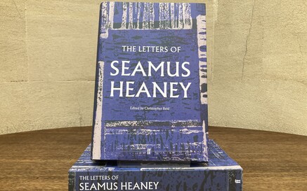A photo of the book 'The Letters of Seamus Heaney' against a marble background